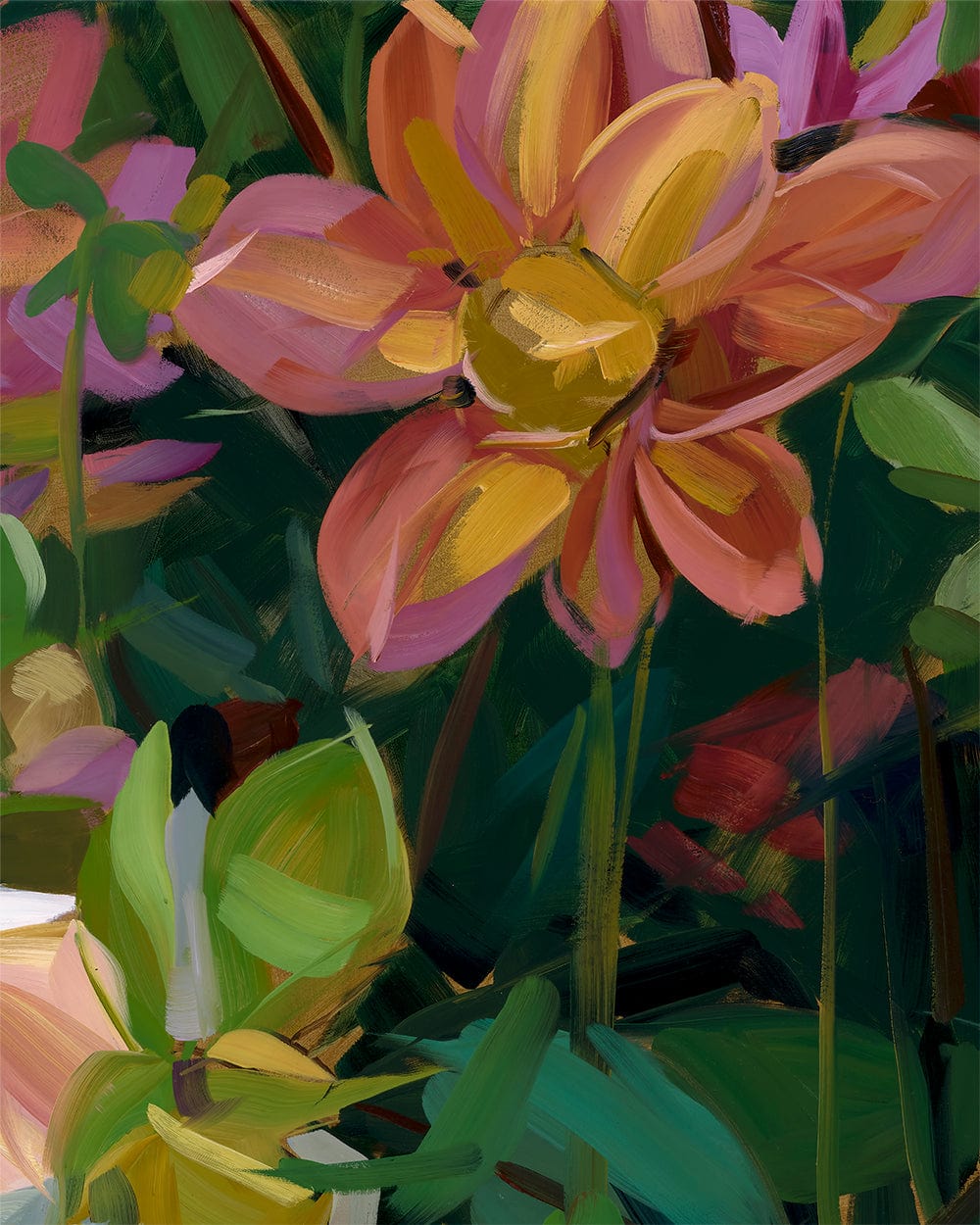 Dahlias Fine Art Print on Canvas Bowerbird Collections