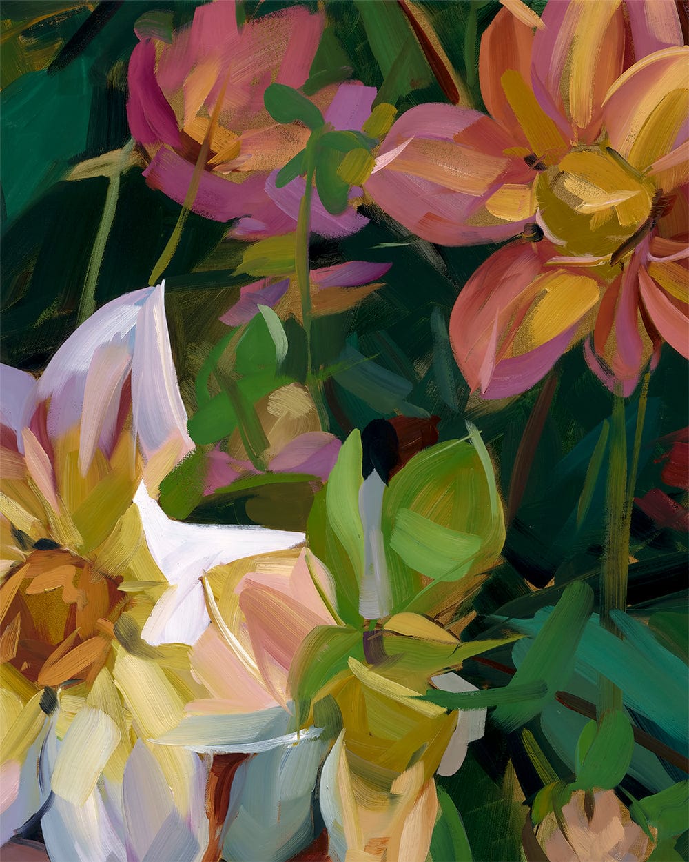 Dahlias Fine Art Print on Paper Bowerbird Collections