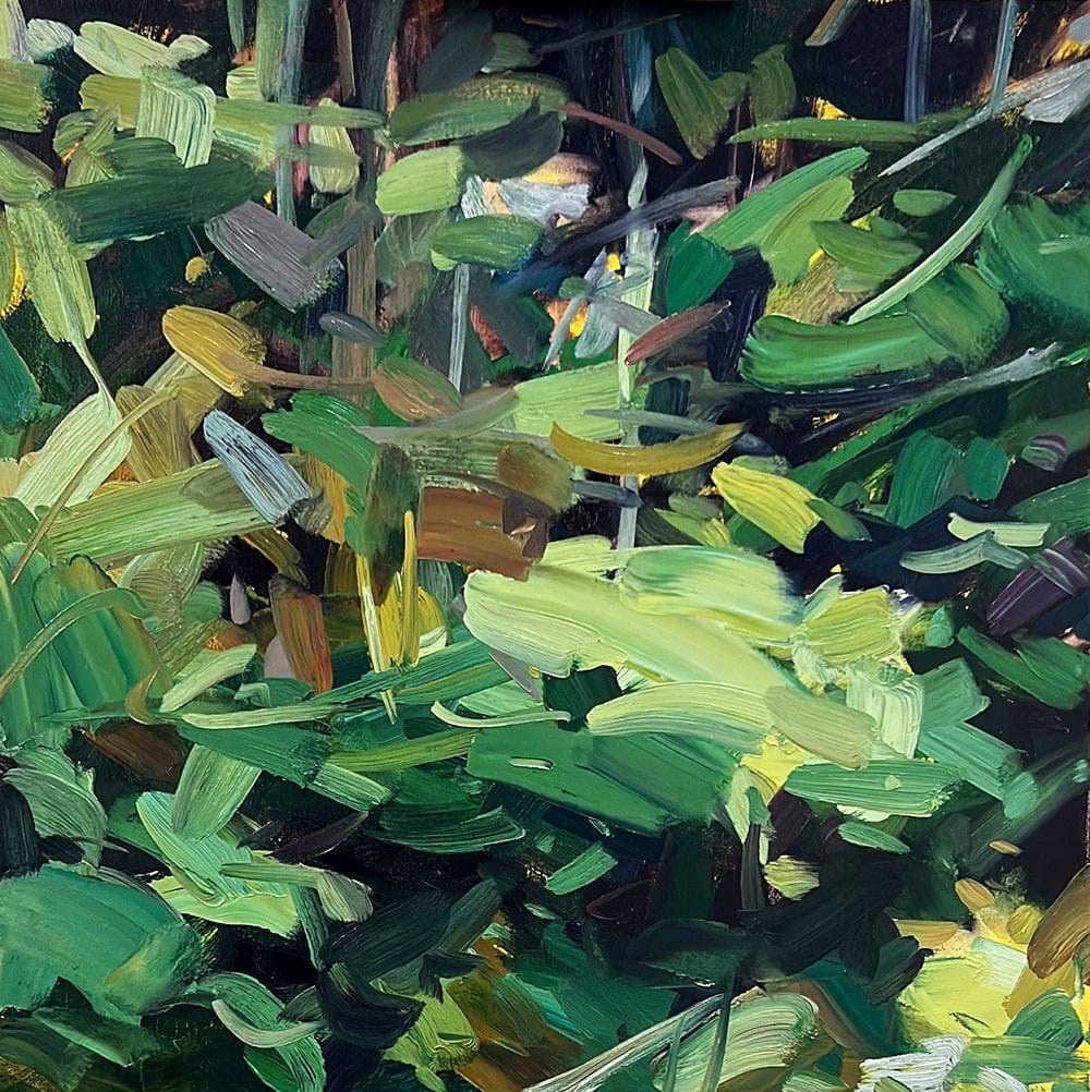 Abstract Forest Bowerbird Collections