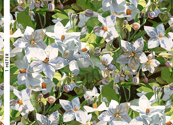 Amira Olive Fabric Bowerbird Collections