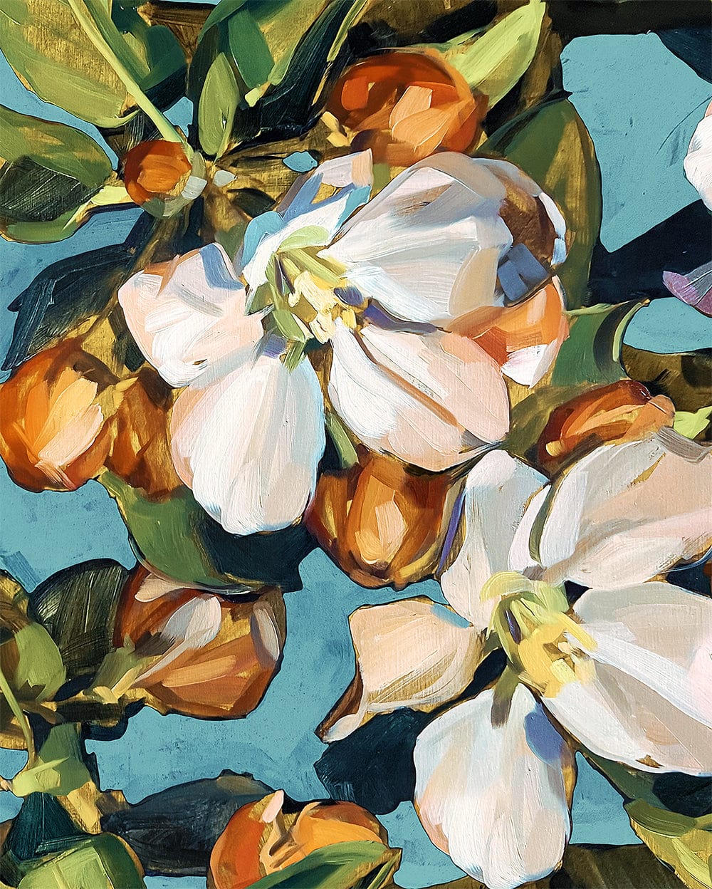 Blossom Aqua Fine Art Print on Canvas Bowerbird Collections