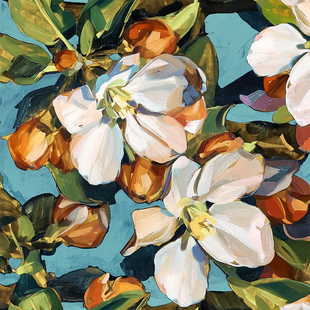 Blossom Aqua Fine Art Print on Paper Bowerbird Collections