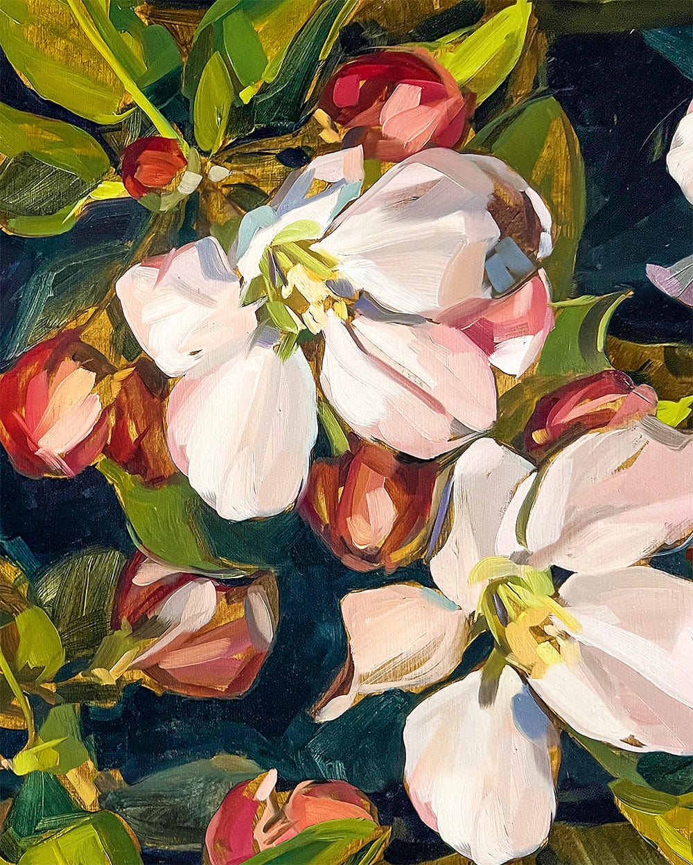 Blossom Navy Fine Art Print on Canvas Bowerbird Collections