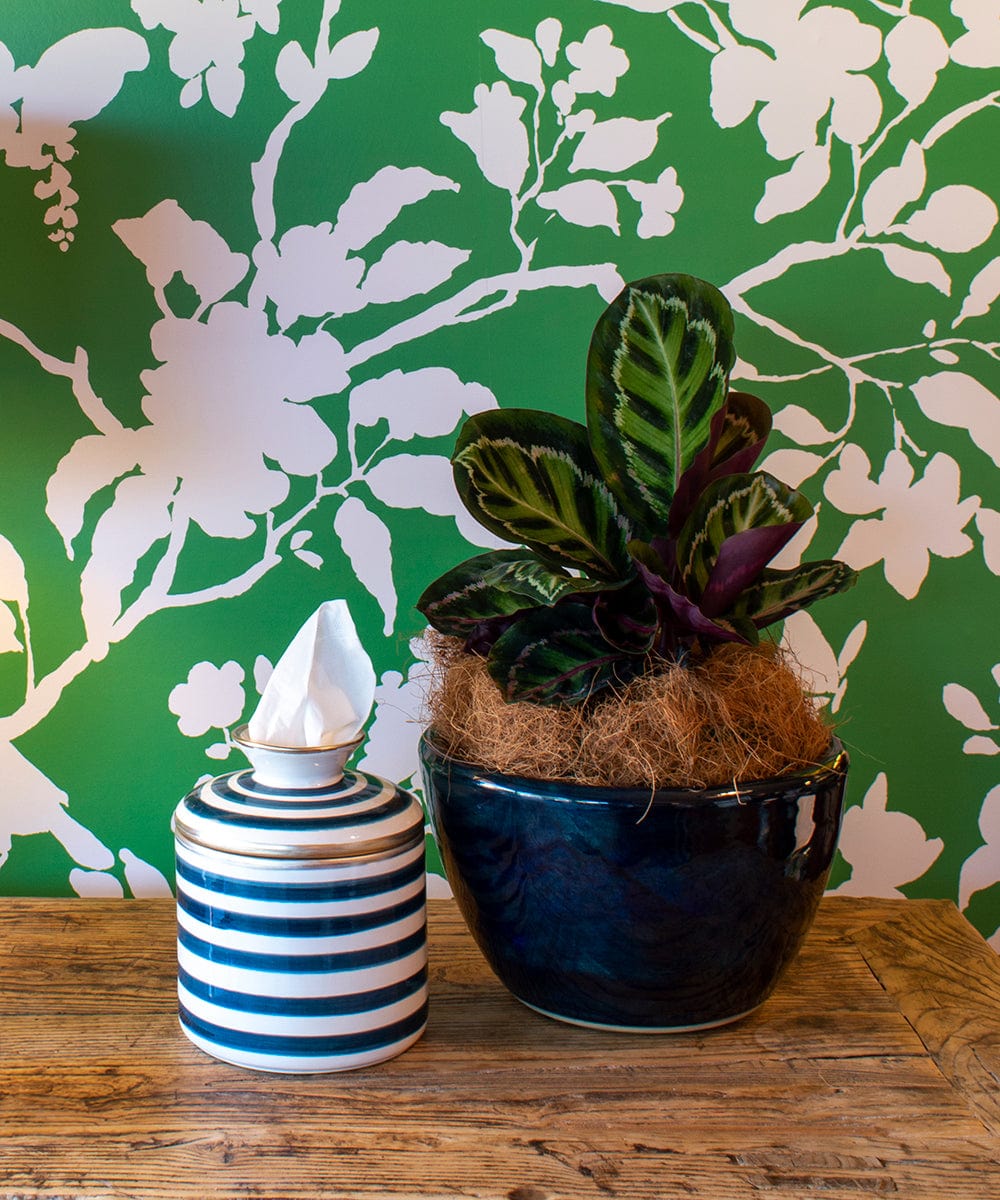 Chinoiserie Cutout Wallpaper Bowerbird Collections