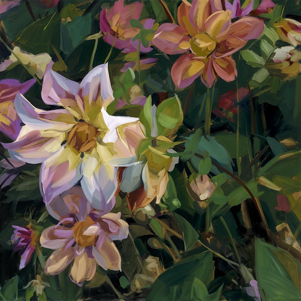 Dahlias Fine Art Print on Canvas Bowerbird Collections