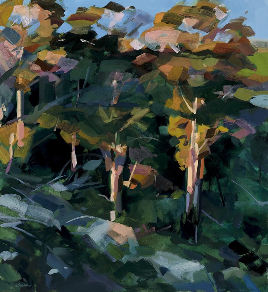 Perspective Bowerbird Collections