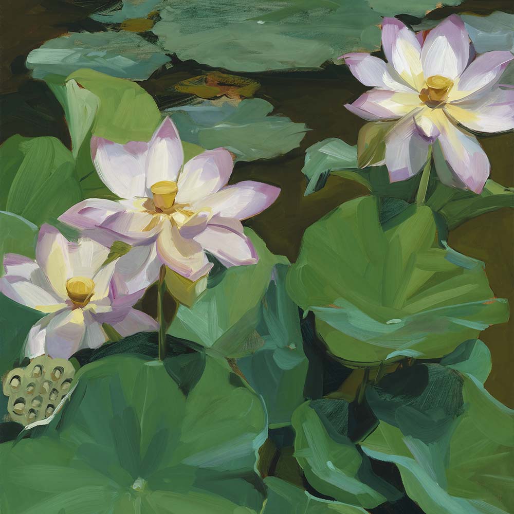 Tranquility Fine Art Print on Paper - Square - Lotus Botanical Wall Art | Bowerbird Collections