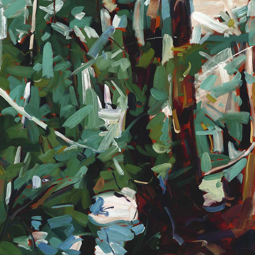 Grounded Fine Art Print on Canvas - Square - Tasmanian Forest Wall Art | Bowerbird Collections