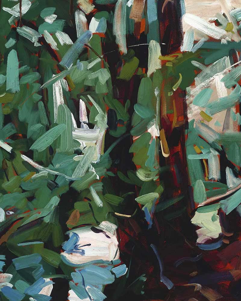 Grounded Fine Art Print on Canvas - Rectangular - Tasmanian Forest Wall Art | Bowerbird Collections