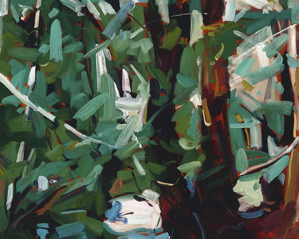 Grounded Fine Art Print on Canvas - Rectangular - Tasmanian Forest Wall Art | Bowerbird Collections