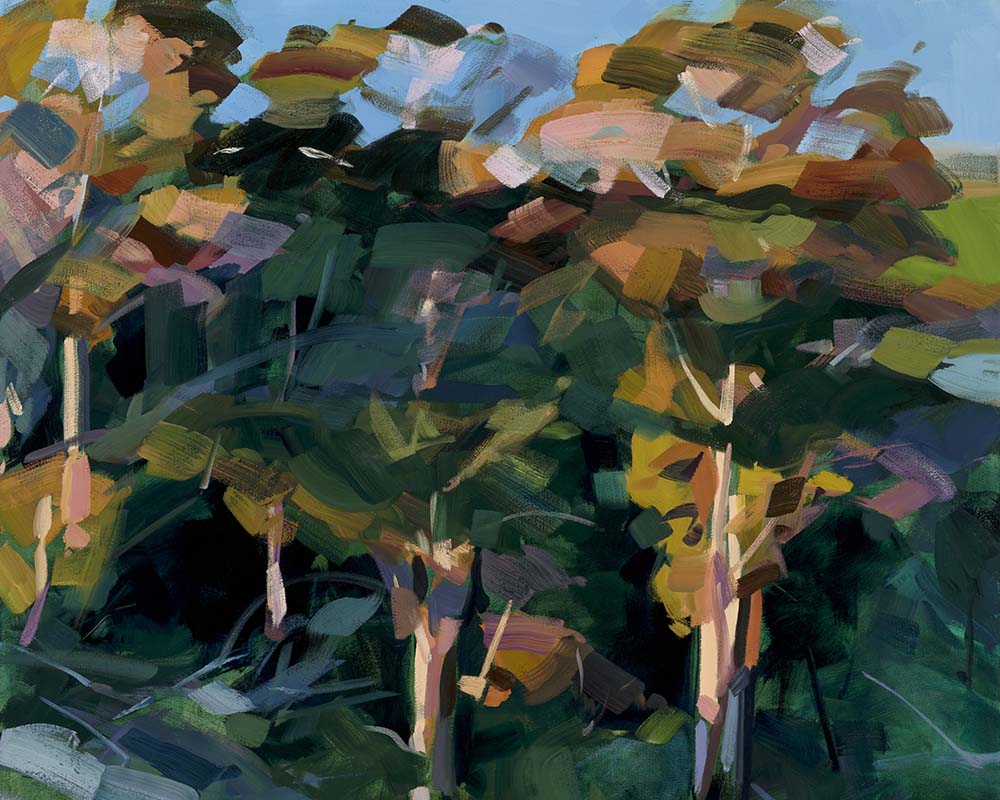 Perspective Fine Art Print on Canvas - Rectangular - Abstract Landscape Wall Art | Bowerbird Collections