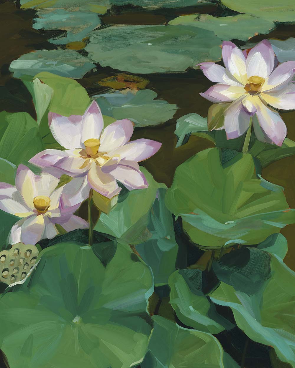 Tranquility Fine Art Print on Paper - Rectangular - Lotus Botanical Wall Art | Bowerbird Collections